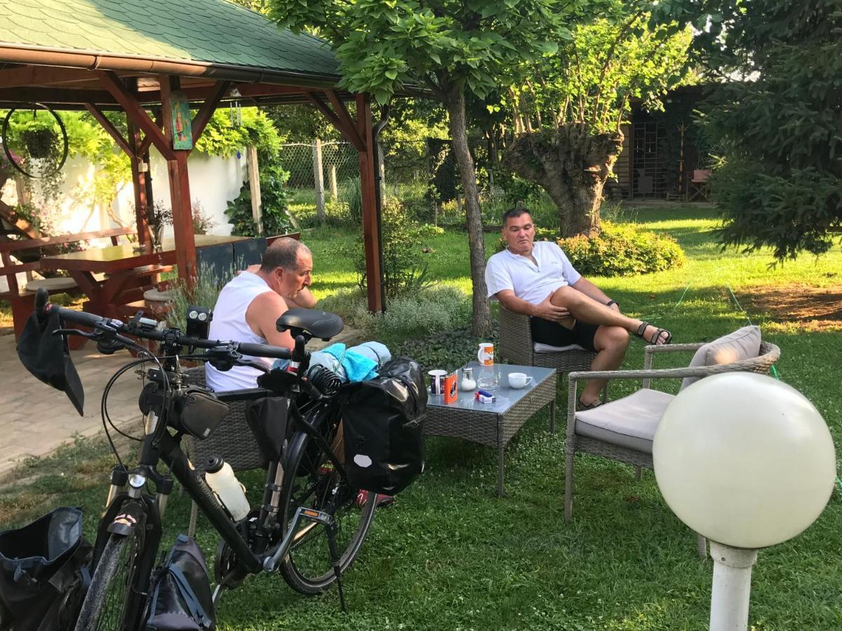 Santa Maria Apartment Donji Kovilj Dış mekan fotoğraf