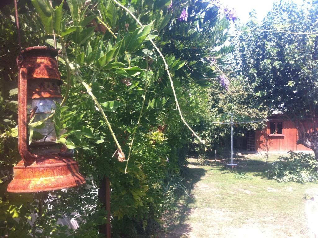 Santa Maria Apartment Donji Kovilj Dış mekan fotoğraf