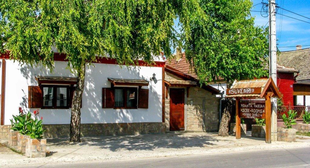 Santa Maria Apartment Donji Kovilj Dış mekan fotoğraf