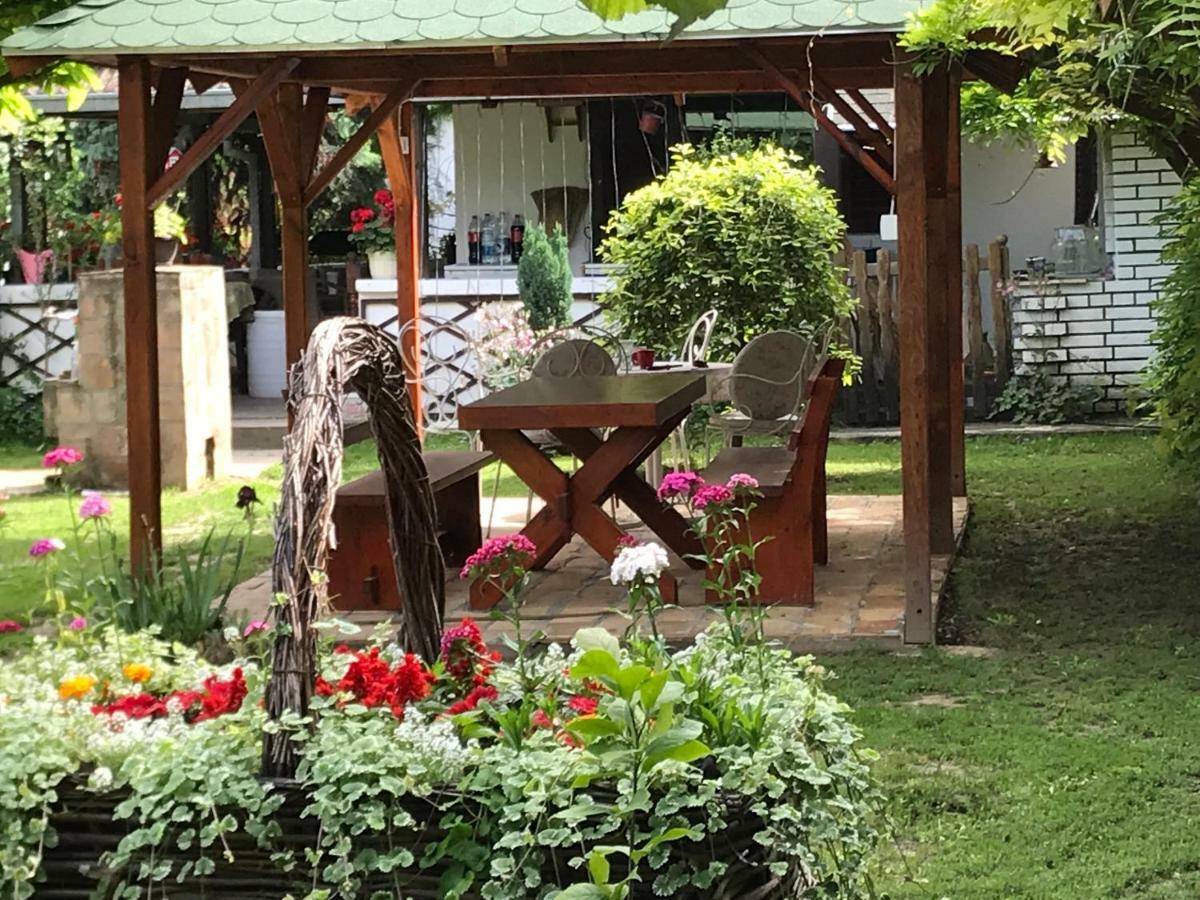 Santa Maria Apartment Donji Kovilj Dış mekan fotoğraf
